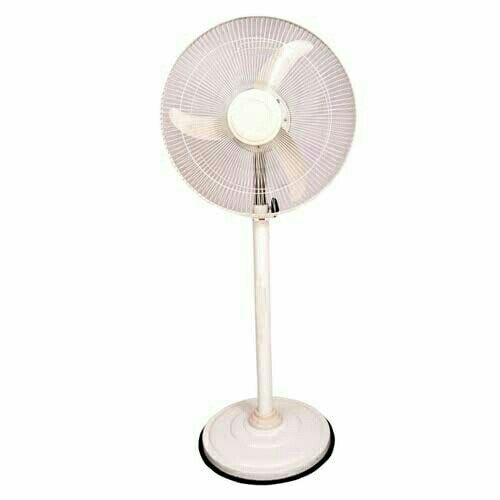 Pedestal Fan