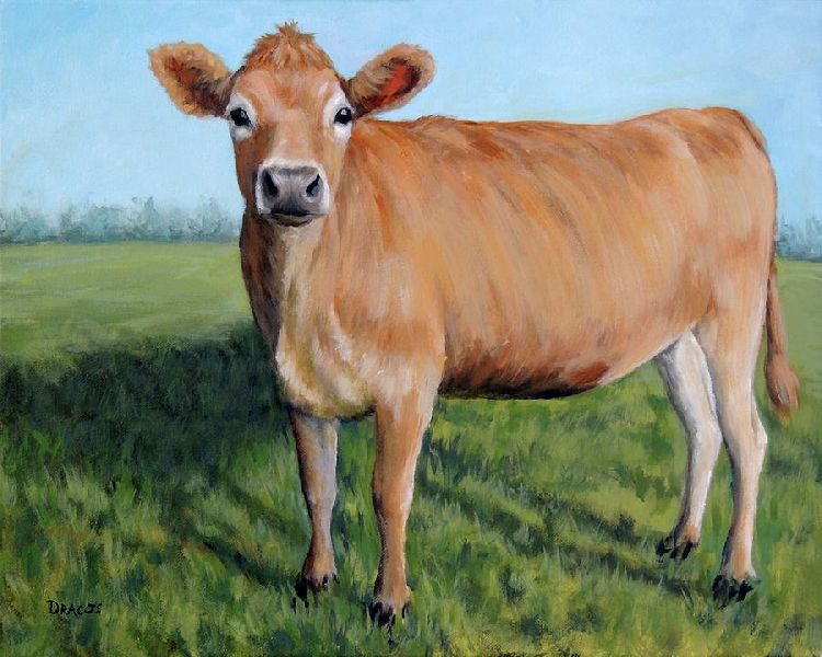 Jersey Cow, Color : Brown