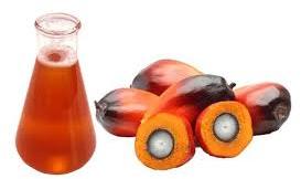 Organic palm kernel oil, for Cooking