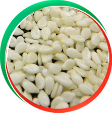 Common Hulled Sesame Seeds, for Agricultural, Style : Dried, Natural, Roasted