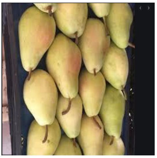 Fresh Pear