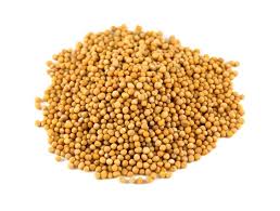 Mustard seeds, Packaging Type : Paper Bag, Plastic Bag