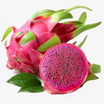 Organic Fresh Dragon Fruit, Color : Pink