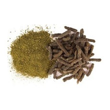 Long Pepper Extract