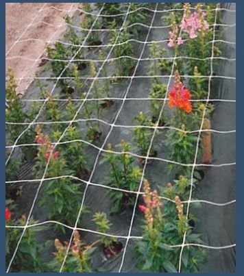 Flower Fencing Net
