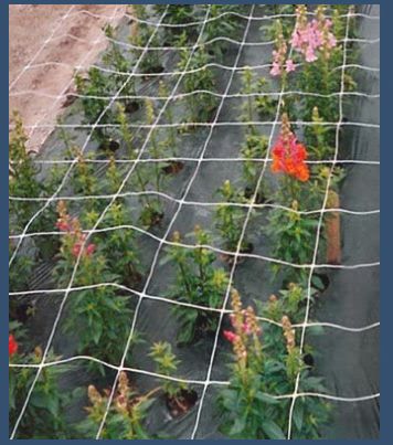 HDPE Flower Fencing Net, Length : 100m