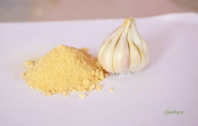 Dried Garlic Powder