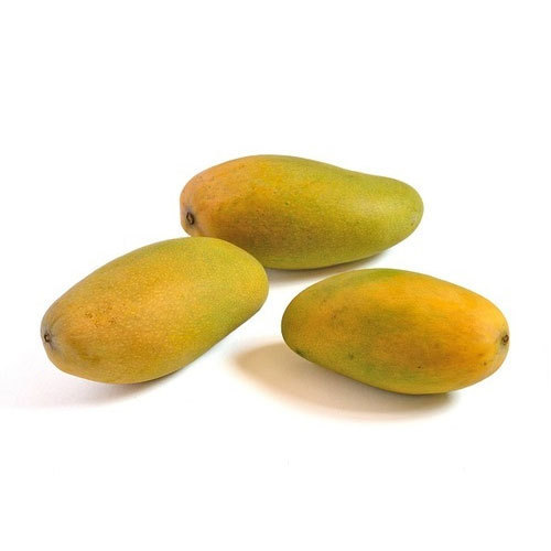 Dashehari mango