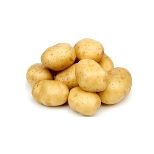 Organic Potato, Shelf Life : 3 Months