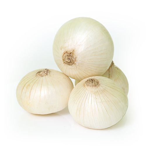 Round Organic White Onion, for Human Consumption, Packaging Type : Plastic Bags
