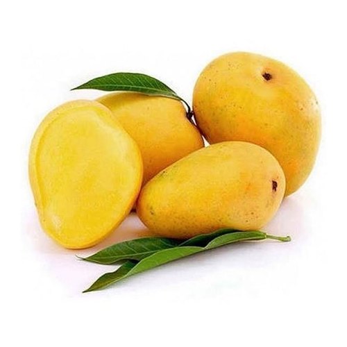 Yellow Mango