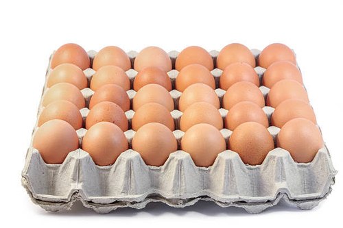 Egg Packaging Tray