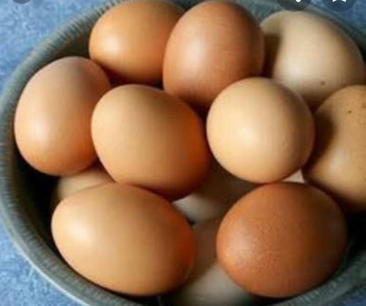 Kadaknath hatching egg, for Human Consumption