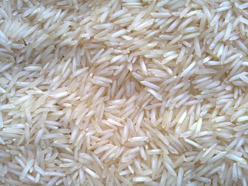 Organic 1509 Steam Basmati Rice, for Human Consumption, Variety : Long Grain, Medium Grain, Short Grain