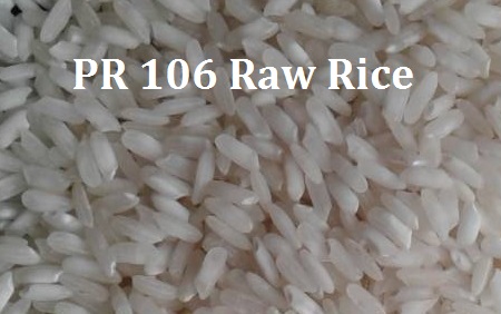 PR-106 Non Basmati Rice, for High In Protein, Variety : Long Grain