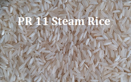 PR 11 Steam Non basmati RICE, Variety : Medium Grain