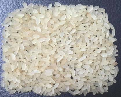 Organic Swarna Non Basmati Rice, Variety : Long Grain