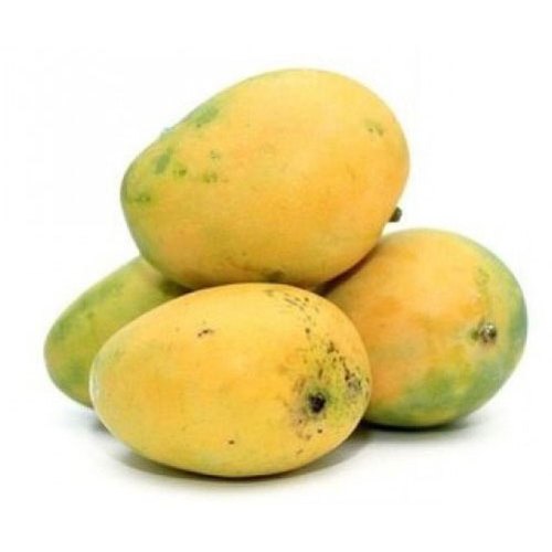 Organic Banganapalli Mango, Shelf Life : 5-10Days