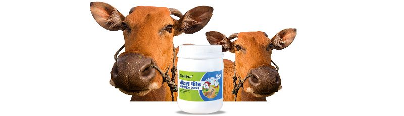 Biofit Cattle Feed Concentrate