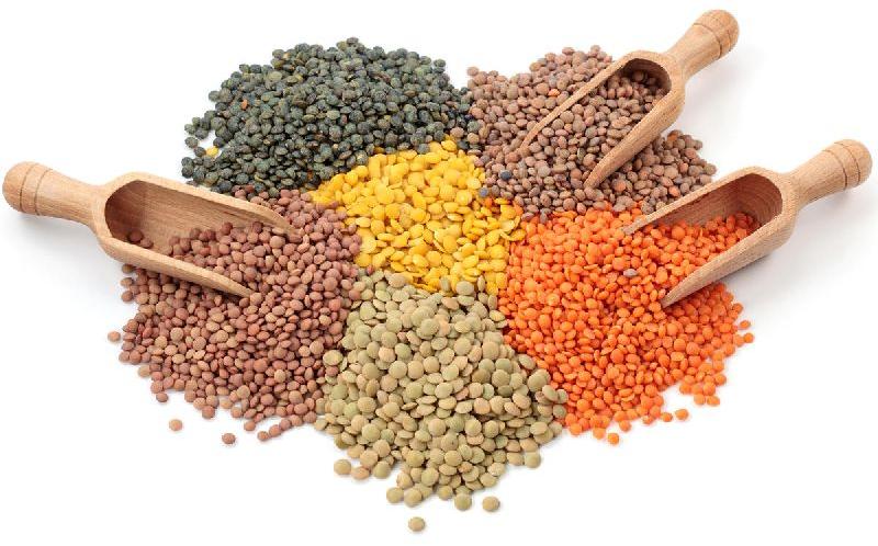 Organic Indian Pulses, for Cooking, Variety : Natural