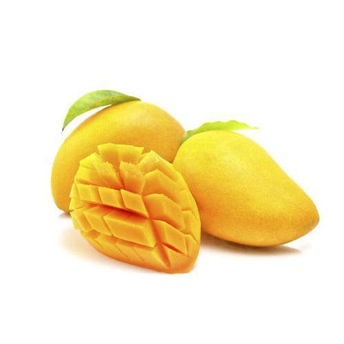 100-1000kg Electric Organic fresh mango, Shelf Life : 5-10 Days