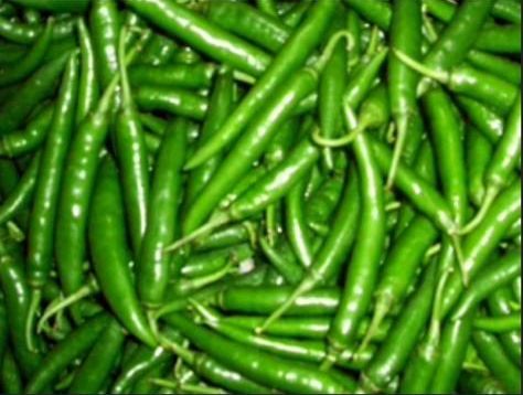 Organic Nandita Green Chilli, for Human Consumption, Packaging Type : Gunny Bag