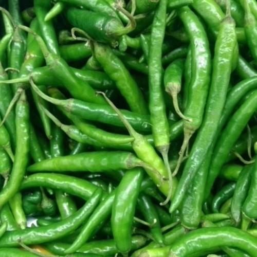 Natural Green Chilli, for Human Consumption, Cooking, Packaging Size : 1 Kg, 2 Kg, 5 Kg