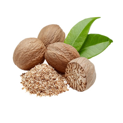 Organic Nutmeg, Color : Brown