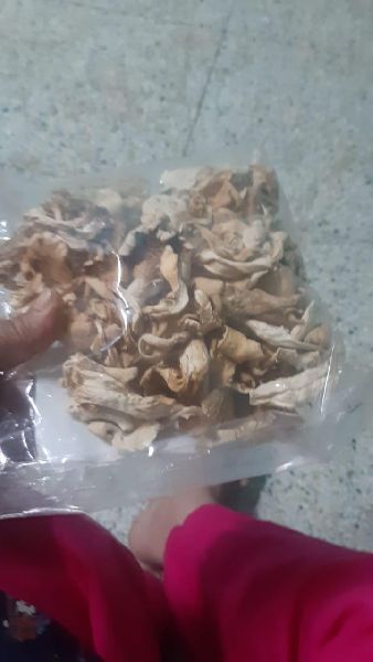 Dry oyster mushroom, Packaging Type : Plastic Bag