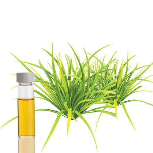 citronella java oil