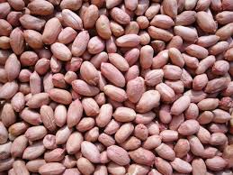 Natural Common Groundnut Kernel, for Butter, Cooking Use, Making Oil, Feature : Fine Taste, Non Harmful