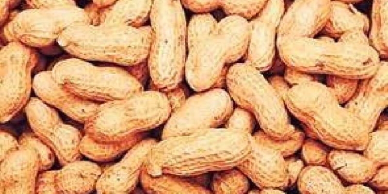 Groundnut Shell