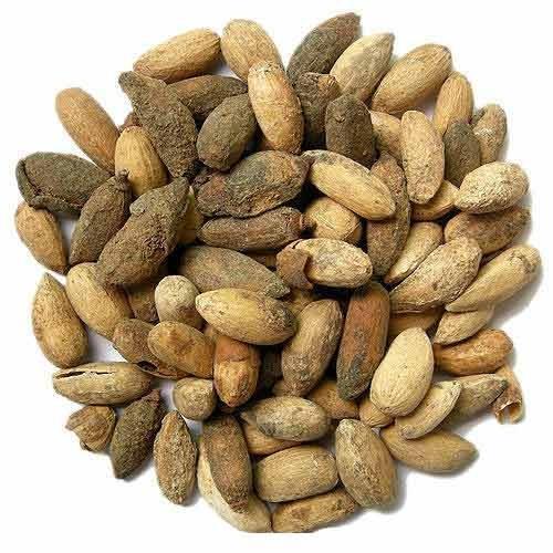 Organic neem seeds, for Cosmetic, Medicine, Color : Brown