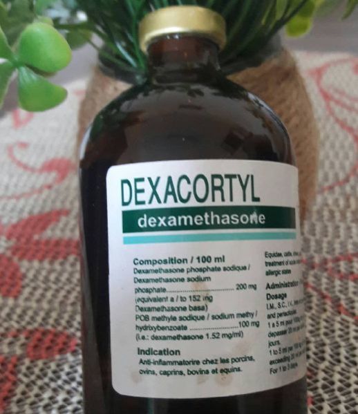 Dexacortyl 100ml injection