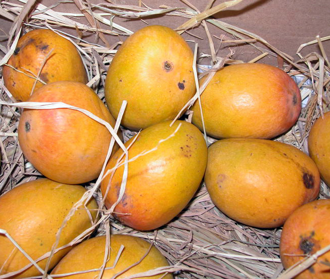 Mangos