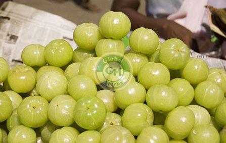 Common Amla, Packaging Size : 50kg