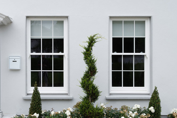 Georgian Windows