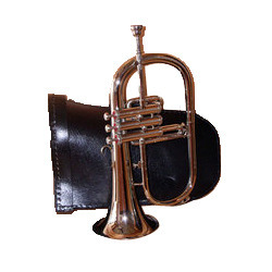 Musical Flugelhorn