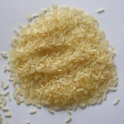 Sharbati Golden Rice
