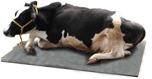 cow mat