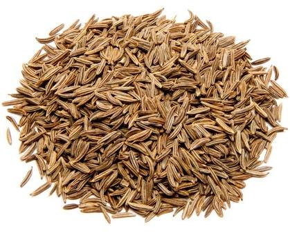 Natural Caraway Seeds, for Cooking, Spices, Certification : FSSAI Certified