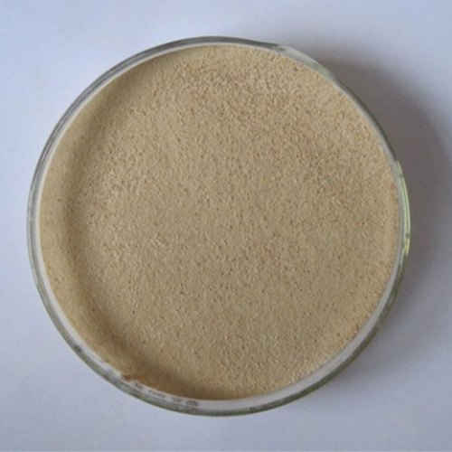 Alkaline Protease Powder, Packaging Size : 25 kg