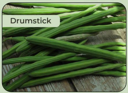 Natural Fresh Drumsticks, for Cooking, Feature : Floury Texture, Healthy, Non Harmul