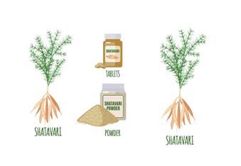 Ayurvedic Rejuvenating Tonic