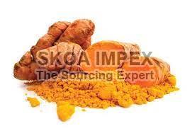 Turmeric Extract