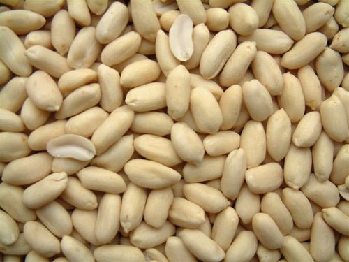 Blanched Java Peanuts, for Direct Consumption, Home, Industrial, Restaurant, Feature : Fine Taste