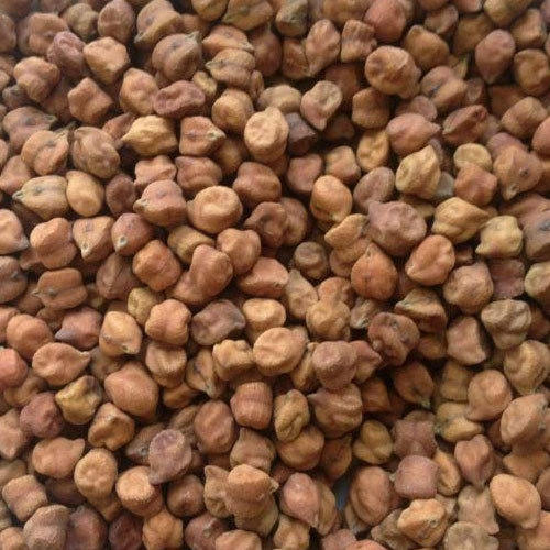 Brown Chickpeas, for Human Consumption, Packaging Size : 25kg 50kg