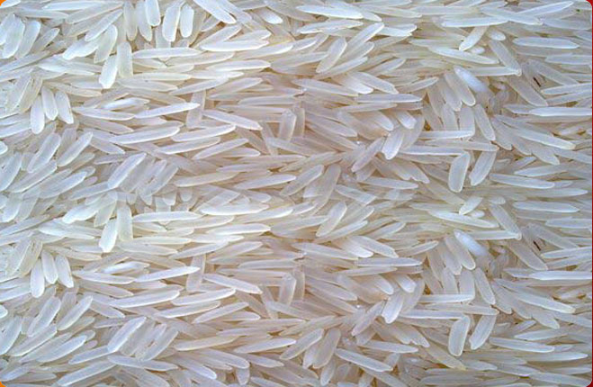 IR 36 Non Basmati Rice, for Human Consumption