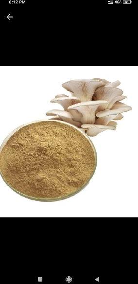Dry Oyster Mushroom Powder, Shelf Life : 2 Year