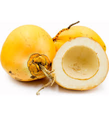 Hard Organic Yellow Tender Coconut